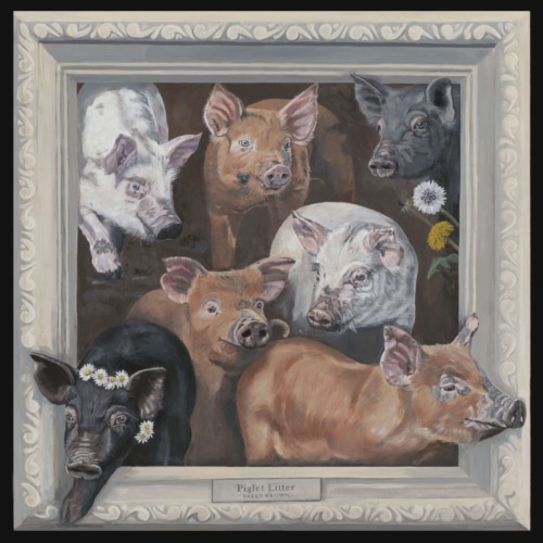 Piglets canvas