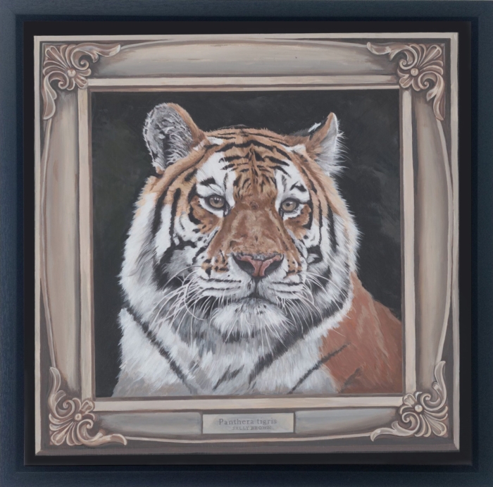 Framed-Tiger