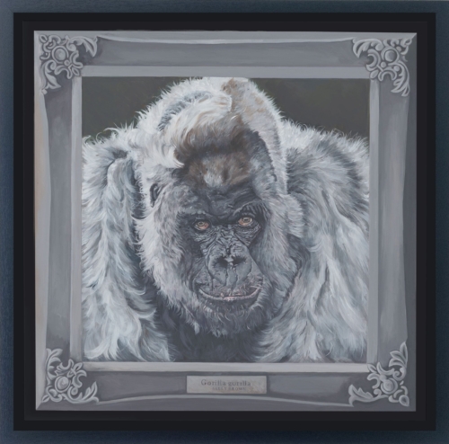 Gorilla-framed-canvas