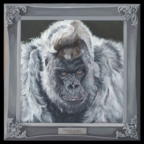 Gorrila-canvas