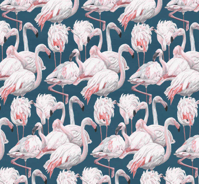 just-Flamingos-repeat-smaller