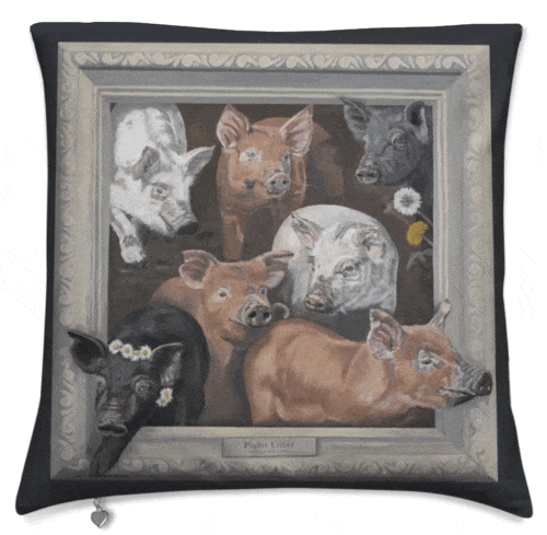 piglet-cushion
